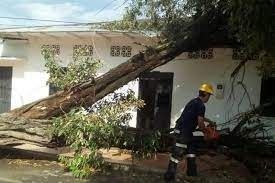 El vendaval qué causó estragos en el norte del Tolima.