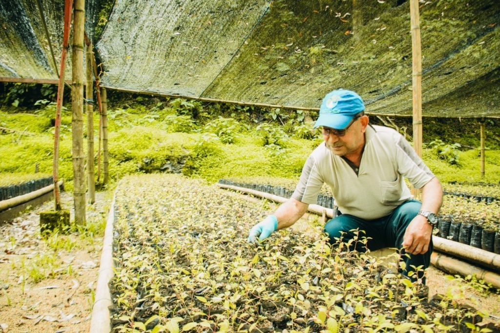 Cortolima invita a la ciudadanía a acceder al material vegetal para la restauración ecológica
