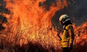 35 de los 47 municipios del Tolima, afectados con incendios forestales