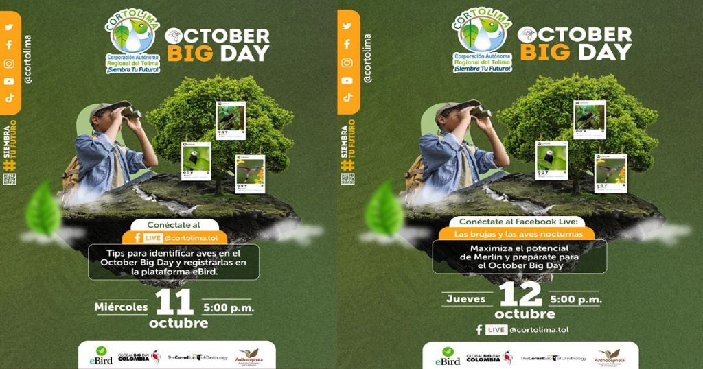 Cortolima se prepara para el October Big Day con dos capacitaciones virtuales.