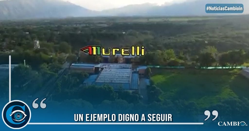 Murelli Murelli, empresa tolimense que Rueda por todo el Mundo. Historia de ...