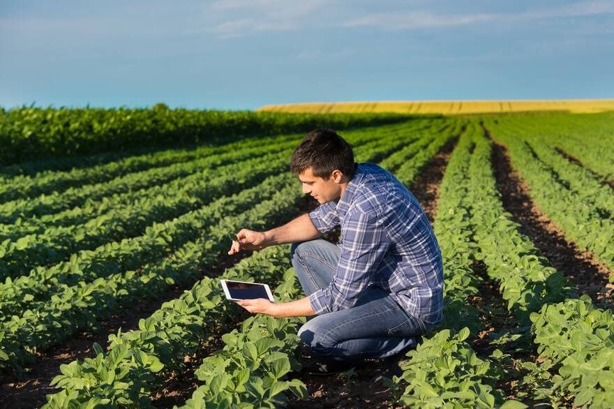 Los Ingenieros Agrónomos con su conocimiento hacen de la agricultura el soporte económico del desarrollo y la paz.