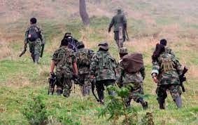 Militares le montan cerco a las Farc en el sur  del Tolima