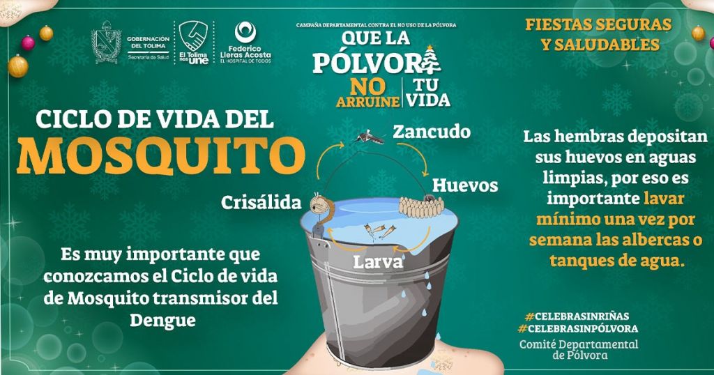 #OjoConElDengue / El mosquito transmisor del dengue busca las aguas limpias para reproducirse.