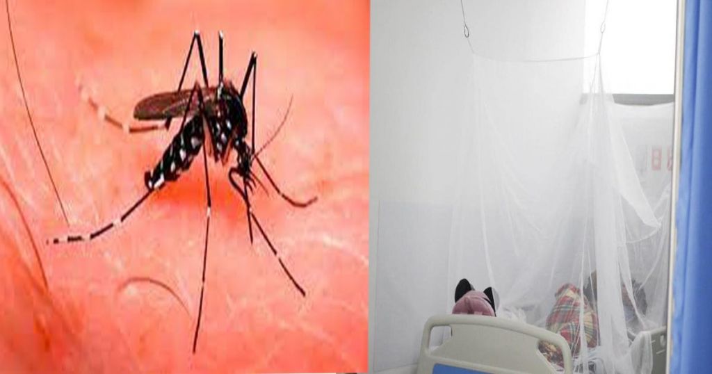 Escalofriante cifra de casos de dengue en Ibagué, varios pacientes han muerto