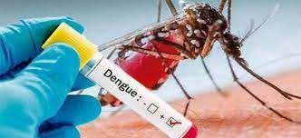 Alerta Epidemiológica en Ibagué, por reporte de mil casos de dengue