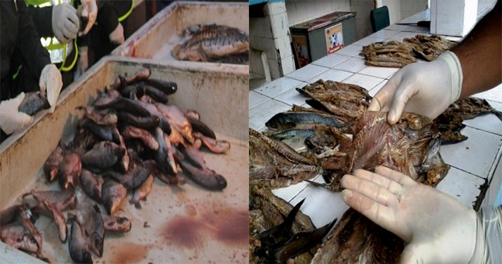 Pescado podrido pretendía ser repartido en Ibagué en esta Semana Santa