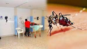 El Dengue tiene al sistema de salud en jaque, ya son 3.500 casos en Ibagué