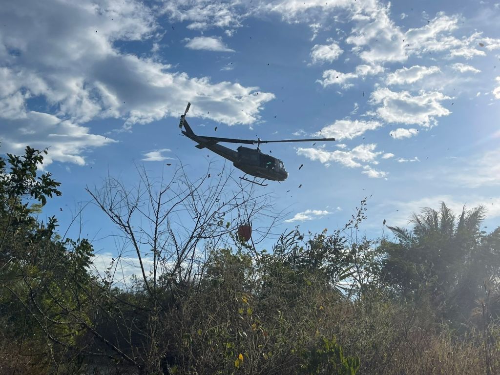 300 hectáreas arrasadas por el fuego en Prado Tolima