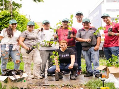 Sembrando futuro en el Día del Árbol: Cortolima lideró reforestación en el Tolima