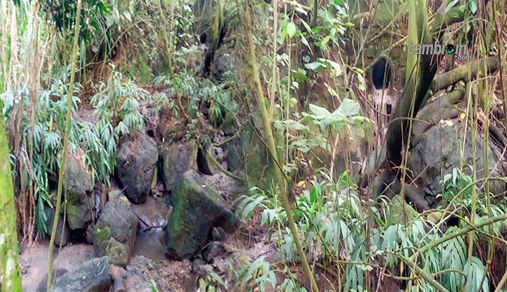 Contaminan ríos del sur de Ibagué y Cortolima no hace nada