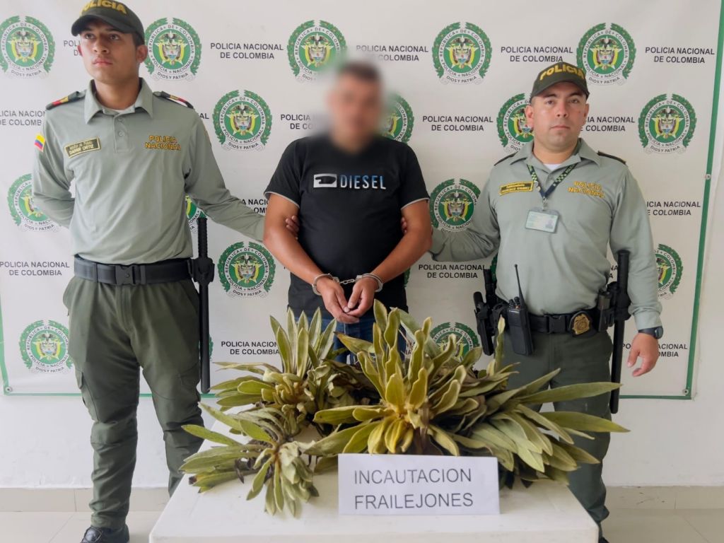 Capturado hombre que extrajo frailejones en la vía Murillo - Manizales