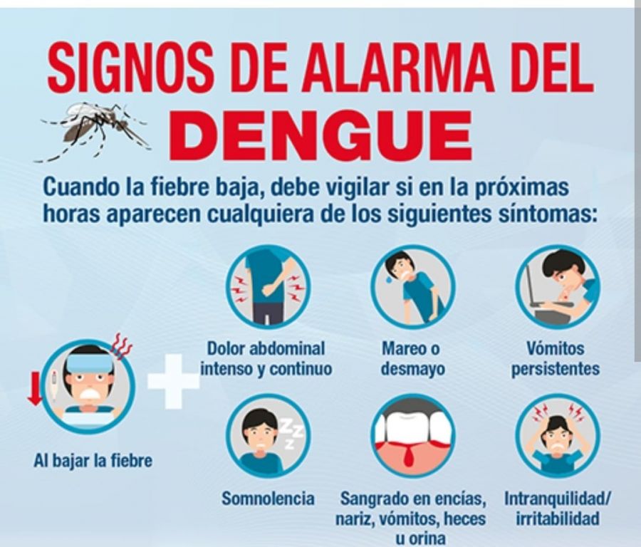 Le quedó grande a la alcaldía de Ibagué, controlar el aumento del dengue