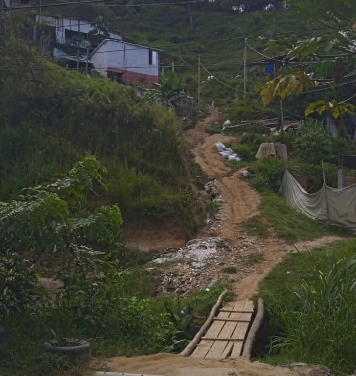 Ordenan a la alcaldesa de Ibagué, desalojar el predio la Ucrania, que está invadido