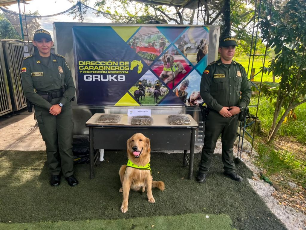 No era un paquete cualquiera, llevaba 3 kilos de droga. Ahora los envían por encomiendas