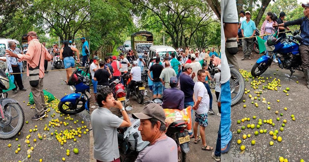 Cultivadores de Limón en Tolima, también salen a bloquear y protestar