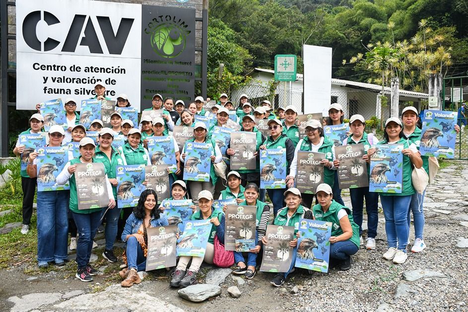 Cortolima avanza en la campaña para proteger el paso del águila cuaresmera en Tolima