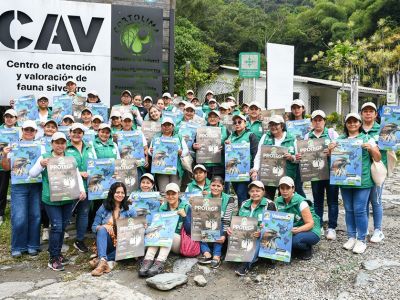 Cortolima avanza en la campaña para proteger el paso del águila cuaresmera en Tolima