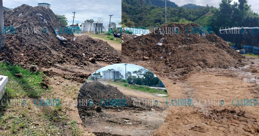 Botan material infectado, al lado de Planta de tratamiento de agua de Ibagué: Peligro