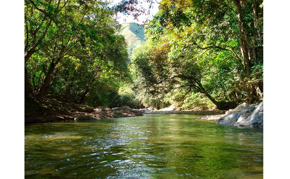 Amenazas que ponen en peligro de extinción a la Ostra de agua dulce