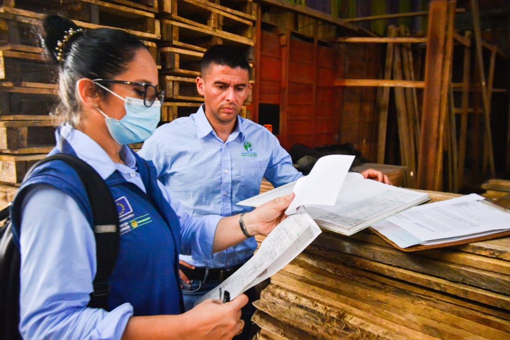 Cortolima llama a municipios a garantizar legalidad y seguridad en estructuras artesanales de fiestas folclóricas