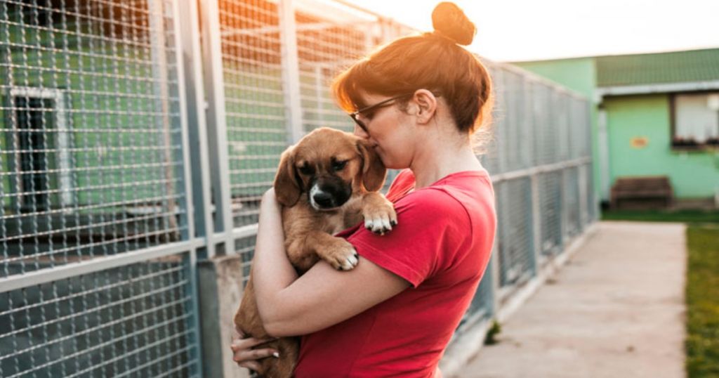 Los números lo dicen, aumentó la adopción de mascotas en Ibagué