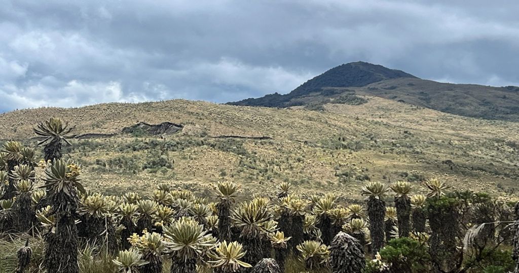 Cortolima adoptará un nuevo plan de manejo del Parque Natural Regional Anaime-Chilí