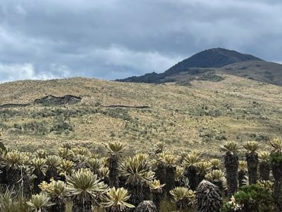 Cortolima adoptará un nuevo plan de manejo del Parque Natural Regional Anaime-Chilí