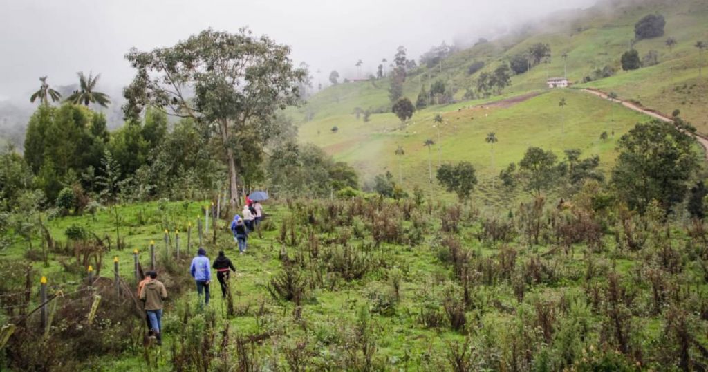 Cortolima logra aprobación de 14.787 millones para conservar áreas estratégicas en Tolima