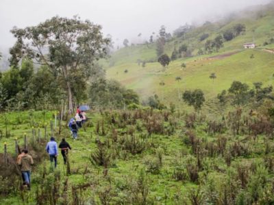 Cortolima logra aprobación de 14.787 millones para conservar áreas estratégicas en Tolima