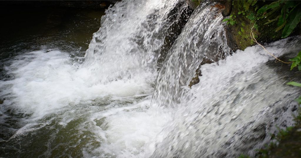 Cortolima conmemora Semana Mundial del Agua con obras, agenda académica y educación ambiental