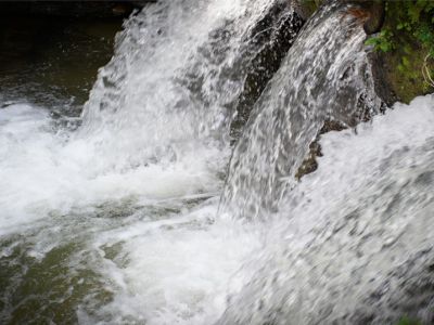 Cortolima conmemora Semana Mundial del Agua con obras, agenda académica y educación ambiental