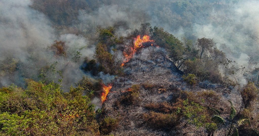 Incendios forestales dejan más de 31.000 hectáreas afectadas en Tolima