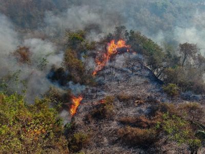 Incendios forestales dejan más de 31.000 hectáreas afectadas en Tolima