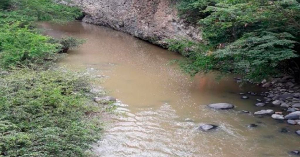 El Caso del Río Opia y sus Ostras de Agua Dulce: Un Tesoro Mundial al Borde de la Extinción