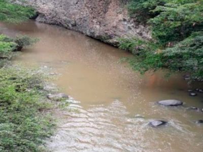 El Caso del Río Opia y sus Ostras de Agua Dulce: Un Tesoro Mundial al Borde de la Extinción