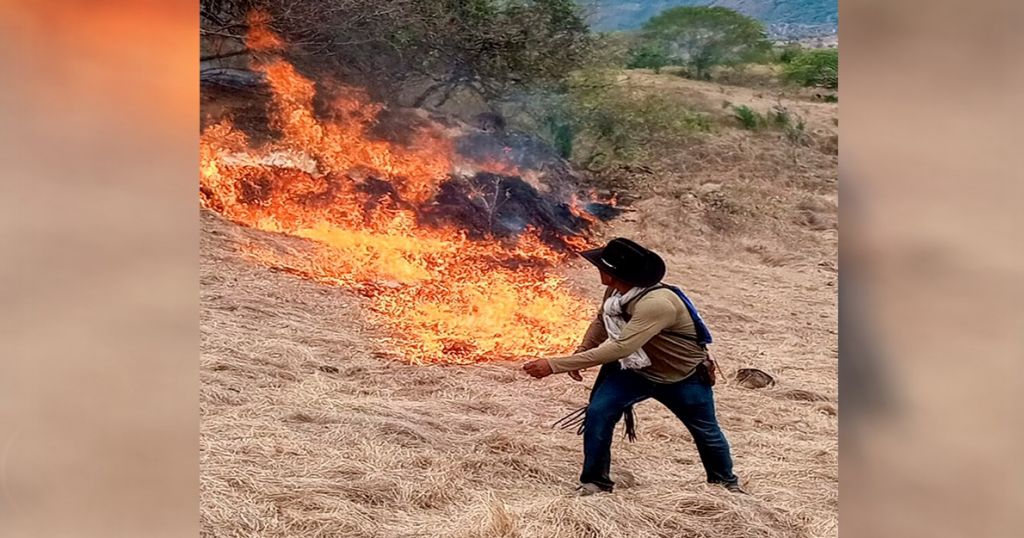 Procuraduría investiga funcionaria de Cortolima, por quema que causó incendio Forestal