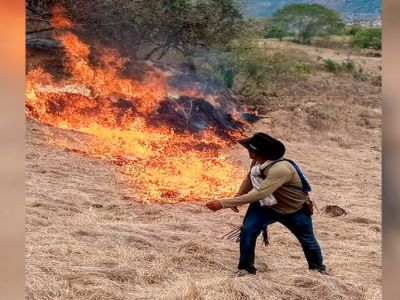 Procuraduría investiga funcionaria de Cortolima, por quema que causó incendio Forestal