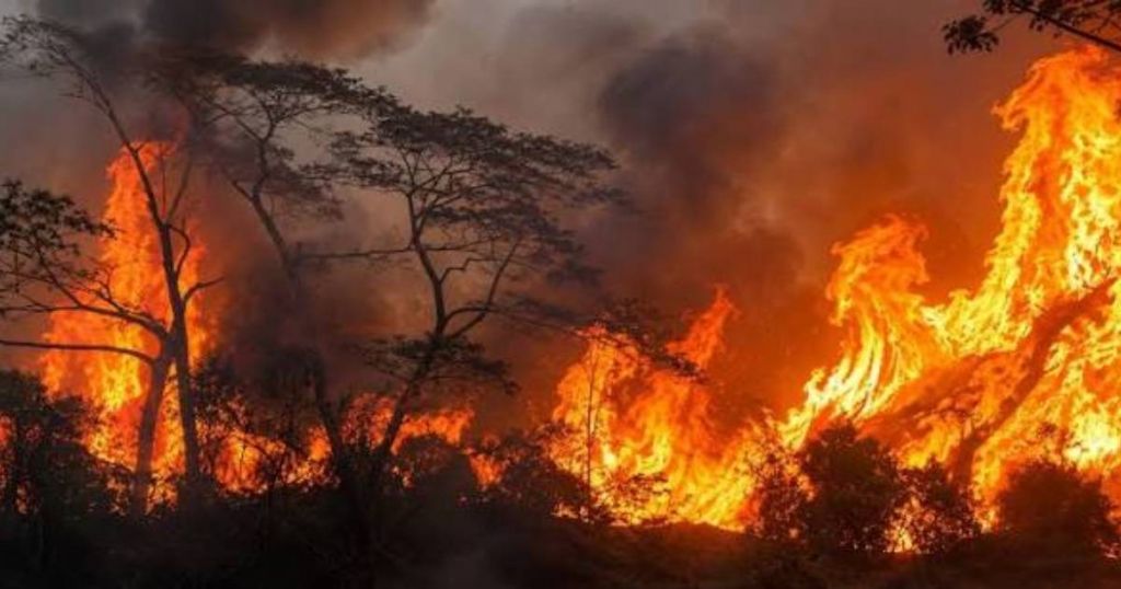 Piedras arde, y el Tolima se seca: ¿Hasta cuándo miraremos hacia otro lado?