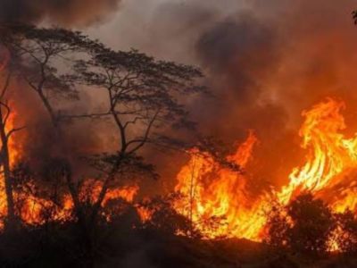 Piedras arde, y el Tolima se seca: ¿Hasta cuándo miraremos hacia otro lado?