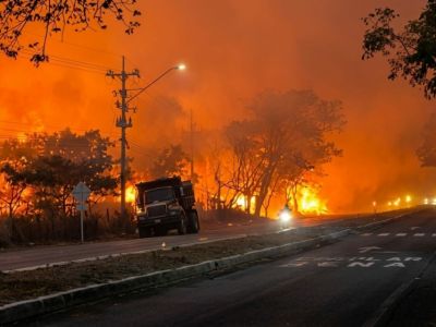 Después de los incendios en el Tolima llega la calma...