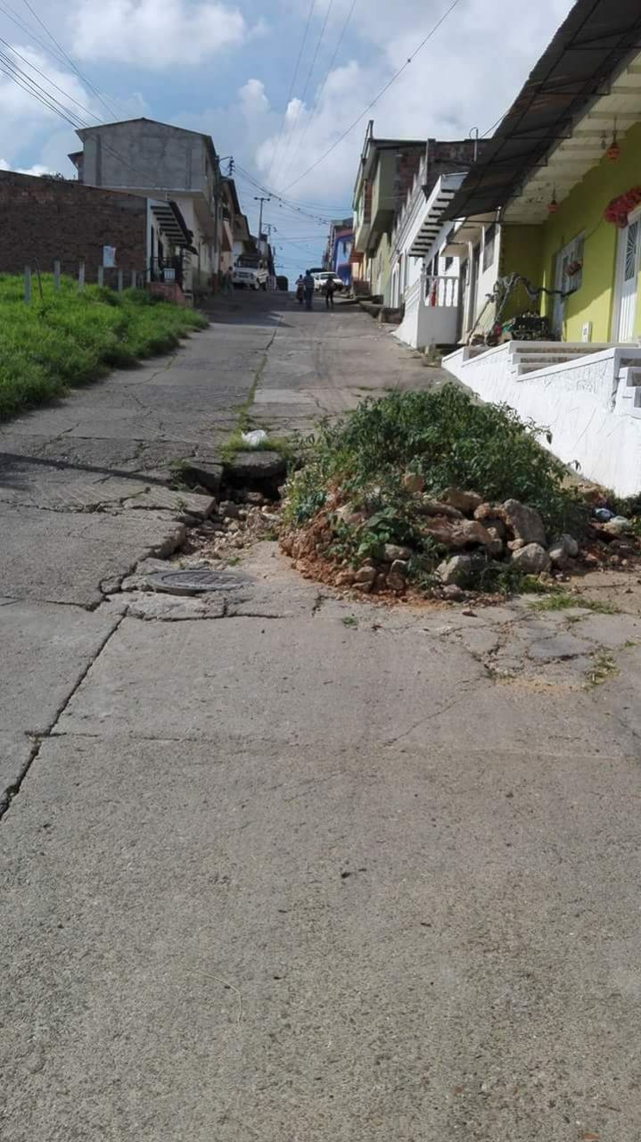 Siembran tomate en hueco de una calle del Tolima