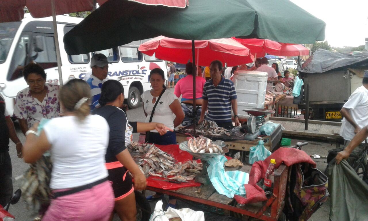 Vigilancia especial a la venta del pescado en el Espinal