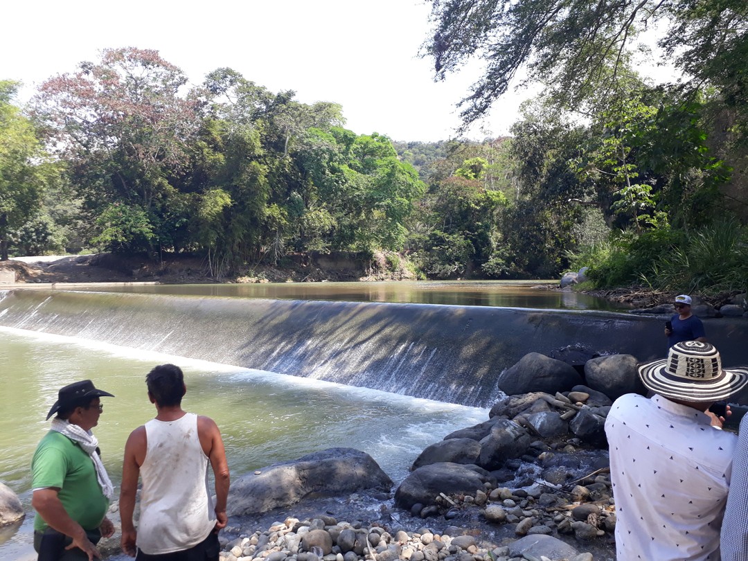 Alerta: Cortolima le entregó un río a la empresa Pajonales