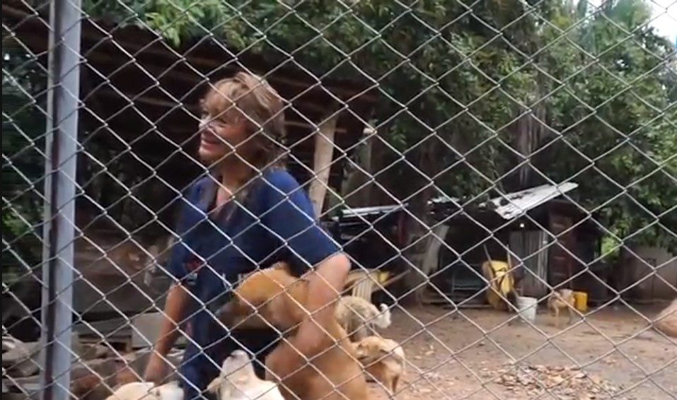 Héroes anónimos: el ángel de los perros y gatos de la calle