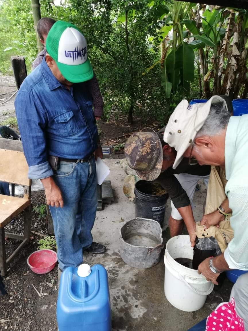 Familias de la vereda Coyarcó se capacitan en elaboración de huertas caseras