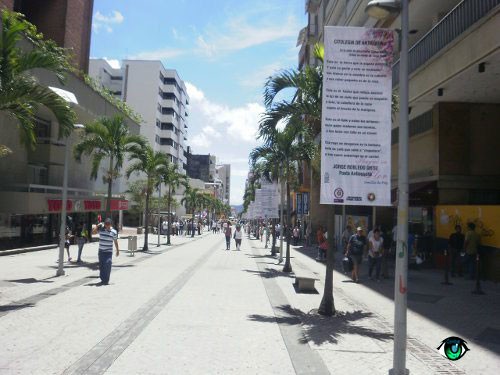 En todo un basurero se convirtió la Carrera 3 de Ibagué