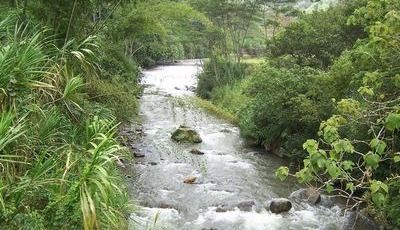 Denuncian grave contaminación al río Alvarado