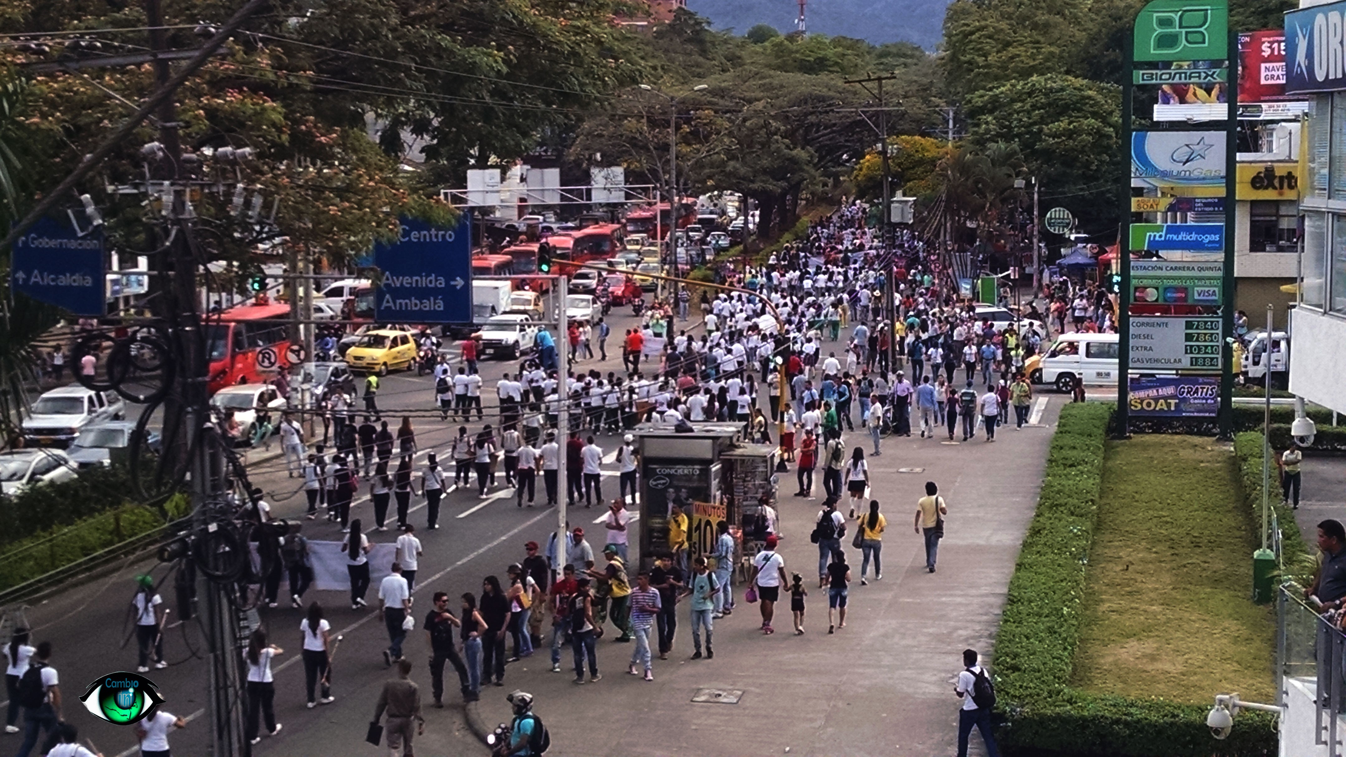 Tolima dijo NO a la megaminería; masiva marcha en contra de anglo gold ashanti