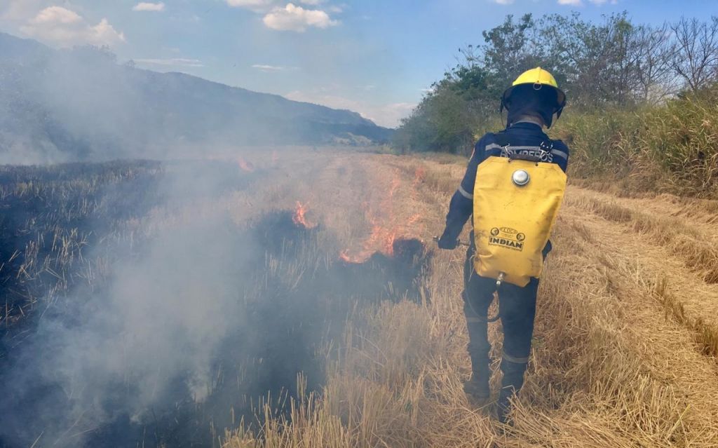 Quemas controladas están prohibida en el Tolima